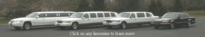 Click on any limousine to view more